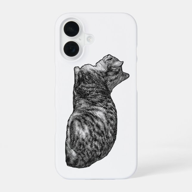 Vertical Frame, Tabby Rest iPhone 16 Case (Back)
