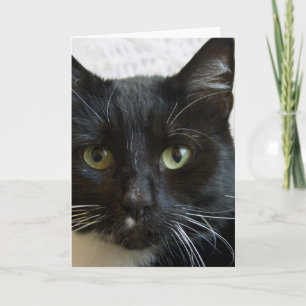 Vertical Greeting Card: Lilly the Cat Card