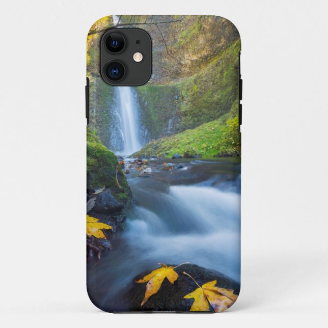 Vertical panorama view of Tunnel Falls Case-Mate iPhone Case (Back)