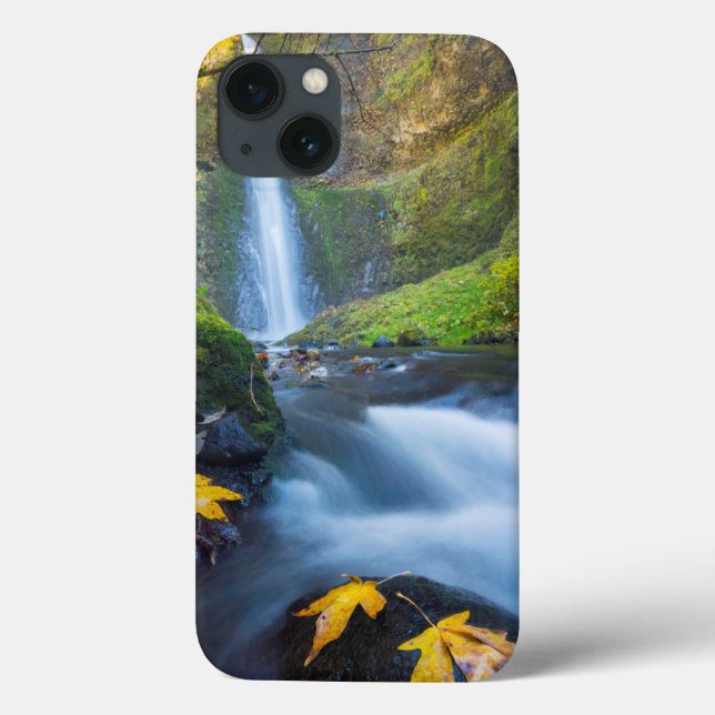 Vertical panorama view of Tunnel Falls Case-Mate iPhone Case (Back)