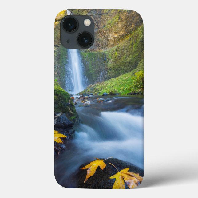 Vertical panorama view of Tunnel Falls Case-Mate iPhone Case (Back)