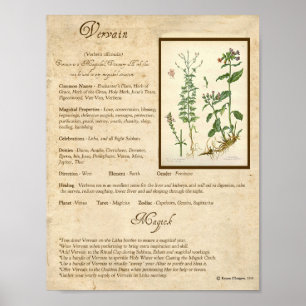 VERVAIN MAGICK HERB POSTER