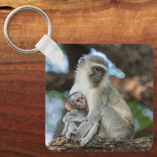 Vervet Monkey, Gentle Nature Key Ring