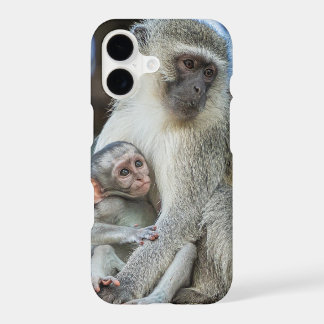 Vervet Monkey Hugging