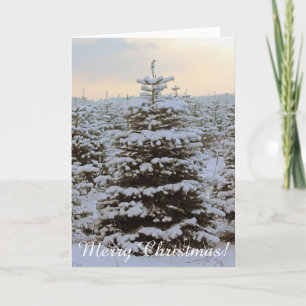 Very Beautiful Christmas Greeting Card! Card