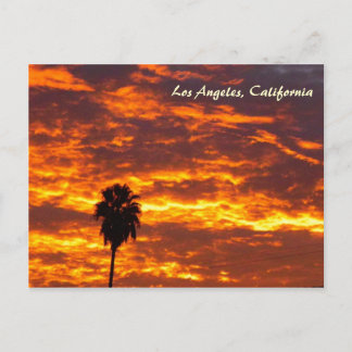 Very Beautiful Los Angeles Postcard! Postcard