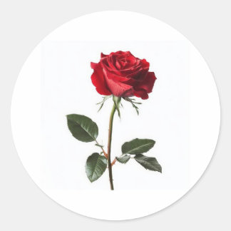 Very beautiful, 👍 nice design  classic round sticker