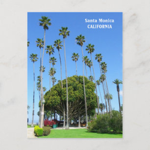 Very Beautiful Santa Monica Postcard! Postcard
