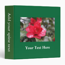 Very beautiful spring, summer pink azalea flower.