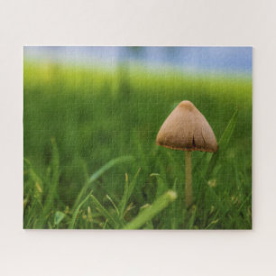 Very Challenging Mushroom Puzzle