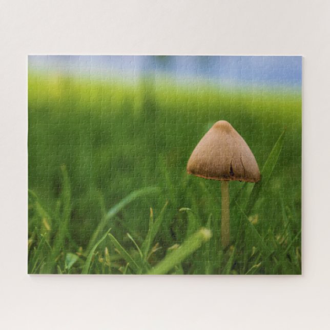 Very Challenging Mushroom Puzzle (Horizontal)