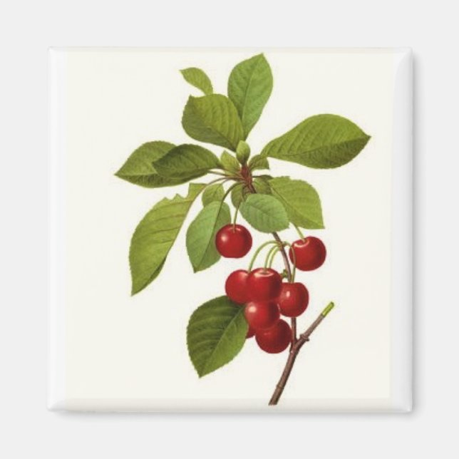 'Very Cherry' Magnet (Front)