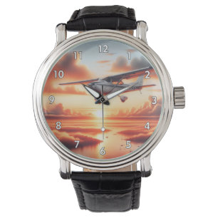 Very Cool Cessna Aeroplane in the Air at Sunset Watch