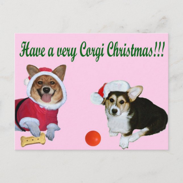 Very Corgi Christmas M & G Pink Postcard (Front)