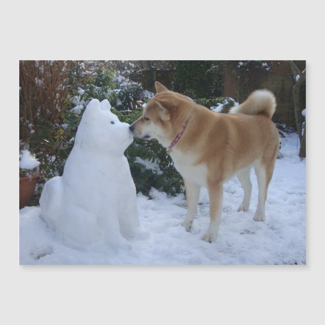 very cute akita kissing snowman akita dog (Front)