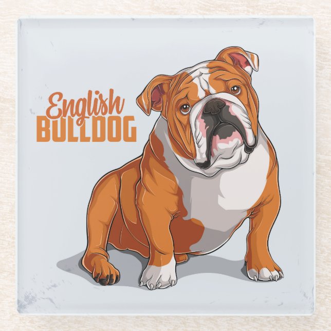 Very Cute and Colourful English Bulldog Sketch Glass Coaster (Front)