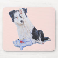 very cute border collie waving paw puppy dog