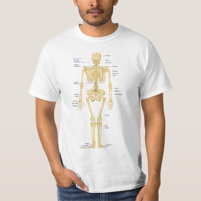 Very Cute Human Skeleton with Labels T-Shirt (Front)
