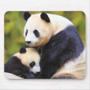 Very Cute Panda Mouse Mat