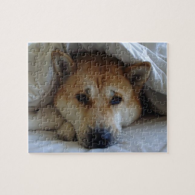 very cute picture of sleeping dog  jigsaw puzzle (Horizontal)