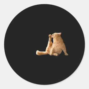 Very Demure Mindful Cly Meme Funny Cat  Classic Round Sticker