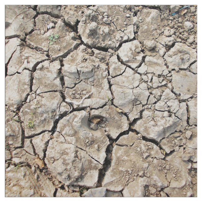 Very Dry And Cracked Soil Fabric (Swatch)