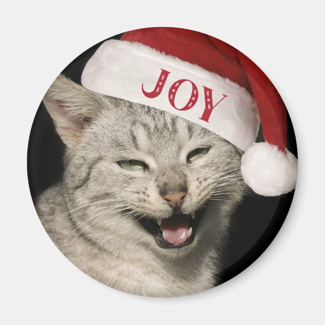 Very Funny  Santa Cat Laugh Photo Christmas Magnet (Front)