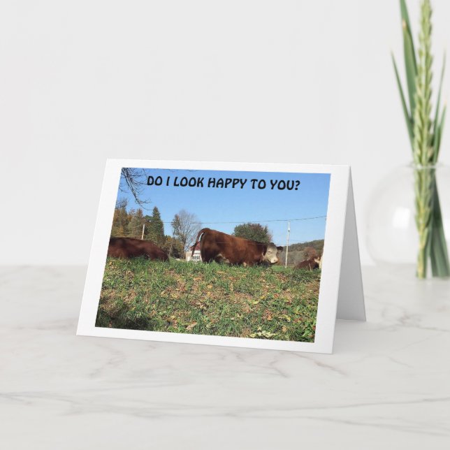 VERY MAD "COW" SAYS UNHAPPY BECAUSE I "MISS YOU" CARD (Front)