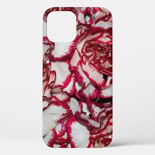 Very nice colourful carnation close up Case-Mate iPhone case (Back)