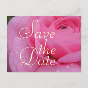 Very Pink Save The Date Rose Announcement Postcard