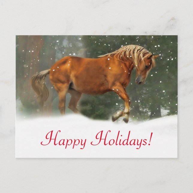 Very Pretty Horse in the Snow Holiday Postcard (Front)