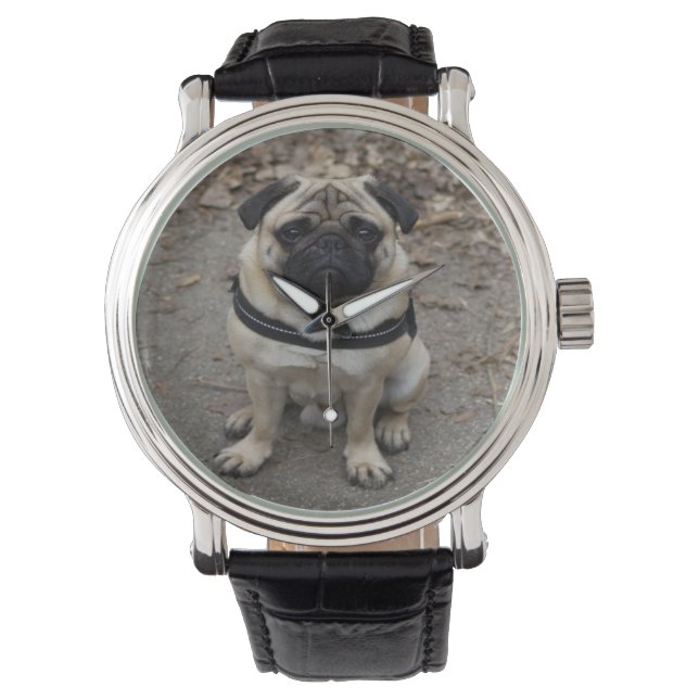 Very Serious Pug Watch (Front)