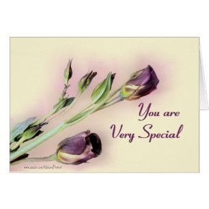 Very Special blank-customise any occasion