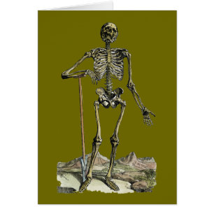 Vesalius: Skeletal System