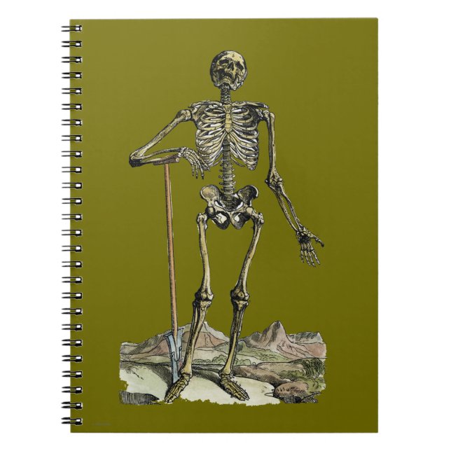 Vesalius: Skeletal System Notebook (Front)