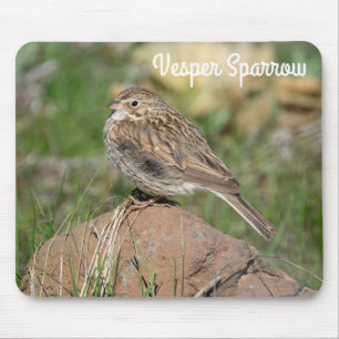 Vesper Sparrow Mouse Pad