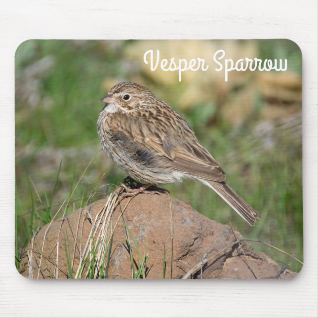 Vesper Sparrow Mouse Pad (Front)