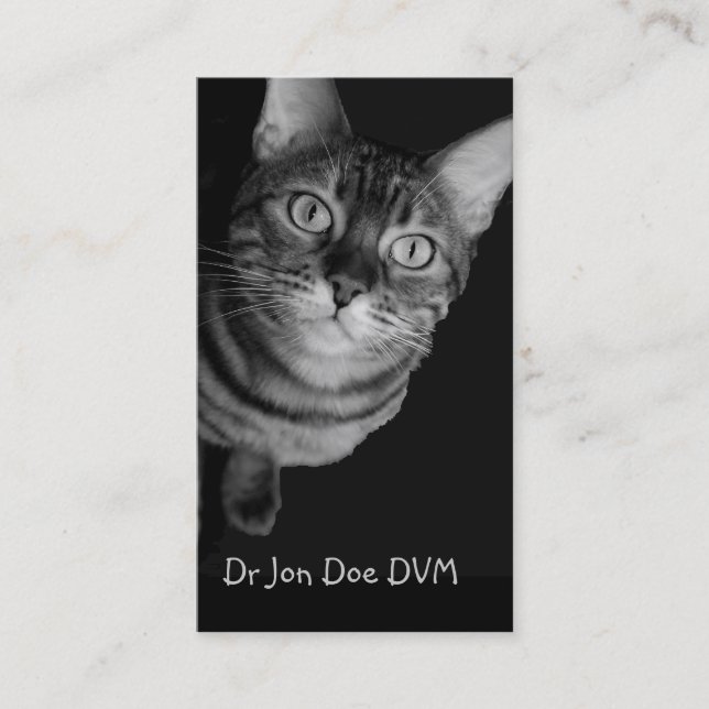 Vet Business Card (Front)