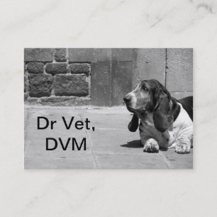 Vet Business Card III