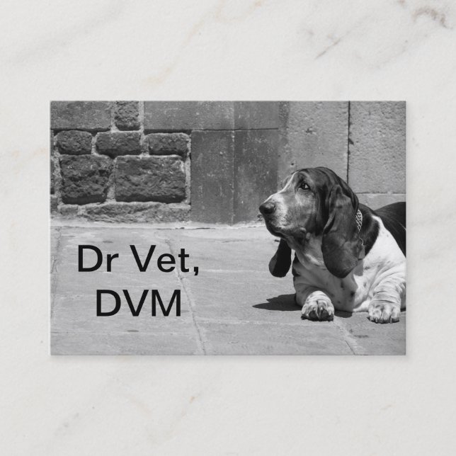 Vet Business Card III (Front)