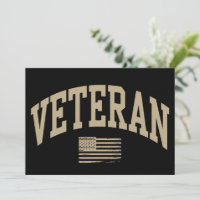 Veteran Veterans Day USA United States American