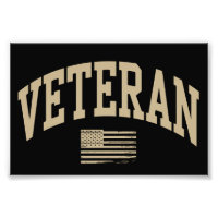 Veteran Veterans Day USA United States American