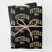 Veteran Veterans Day USA United States American 