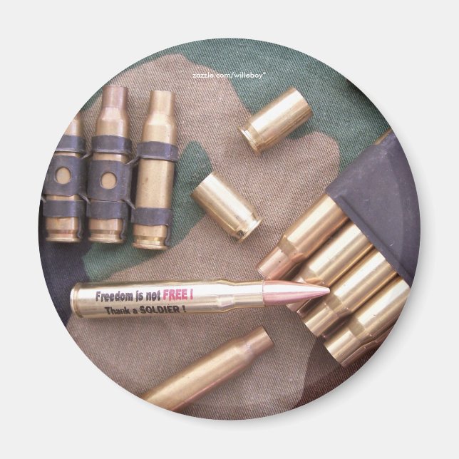 veterans vet war ww2 iraq vietnam vfw Magnet (Front)