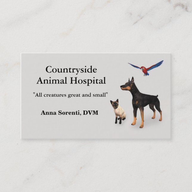 Veterinarian and Pet Care  Business Card (Front)