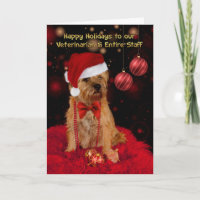 Veterinarian Border Terrier Dog In A Santa Hat