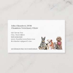 Veterinarian Business & Appointment Reminder Card