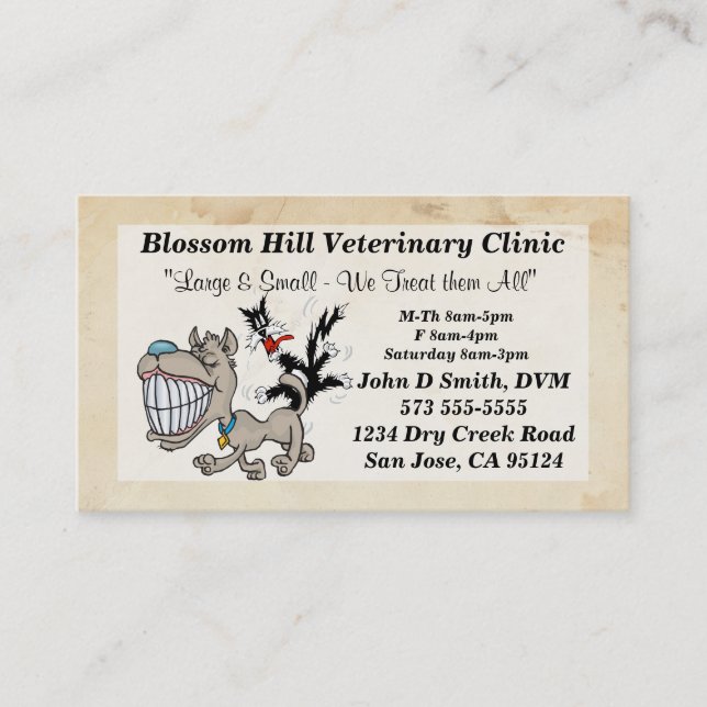 Veterinarian Business Card (Front)