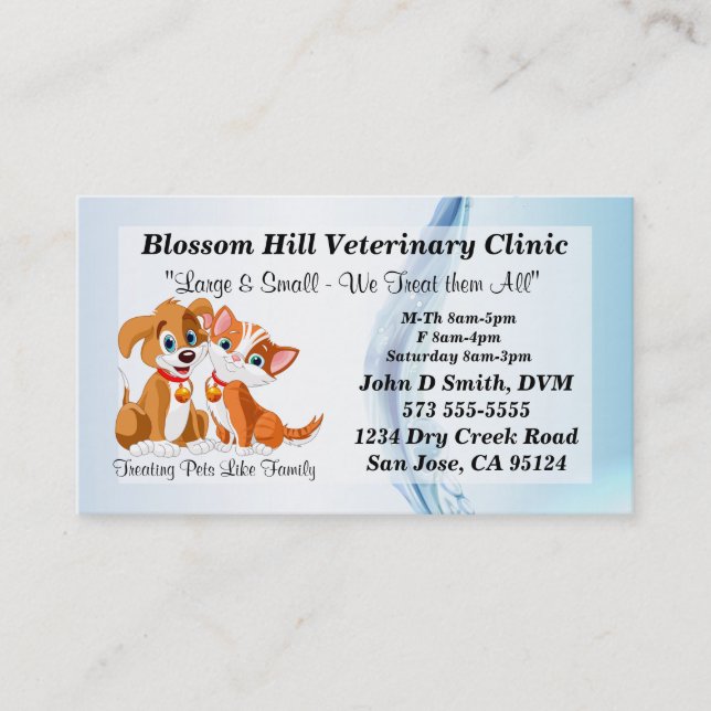Veterinarian Business Card (Front)