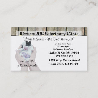 Veterinarian Business Card